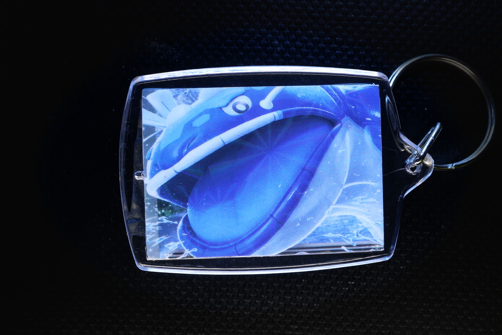 Dondozo ex Holographic Card Keychain — $12.95